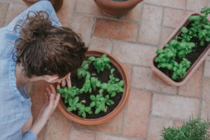 femme plantes en pots