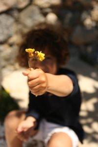 offrir des fleurs par intérêt