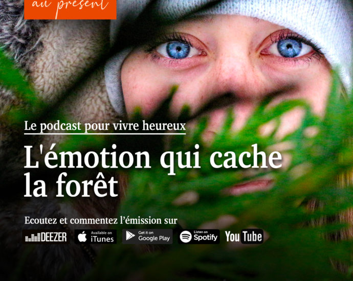 l'émotion qui cache la foret