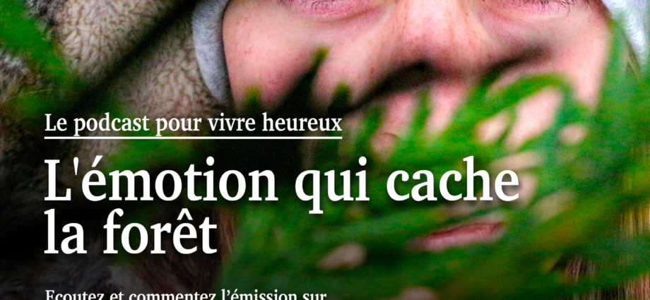 l'émotion qui cache la foret